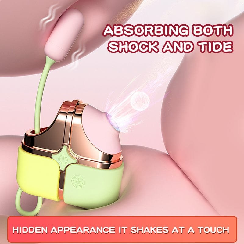 Exquisite Box 2-in-1 Clit Sucker With Bullet Vibrator - Image 5